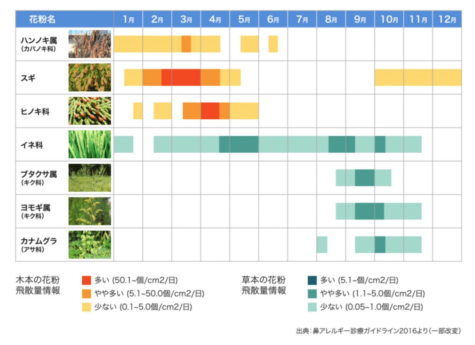 舌下免疫療法が開始時期です！小児もスギやダニの花粉症を撃退 | しだ小児科クリニック院長のブログ