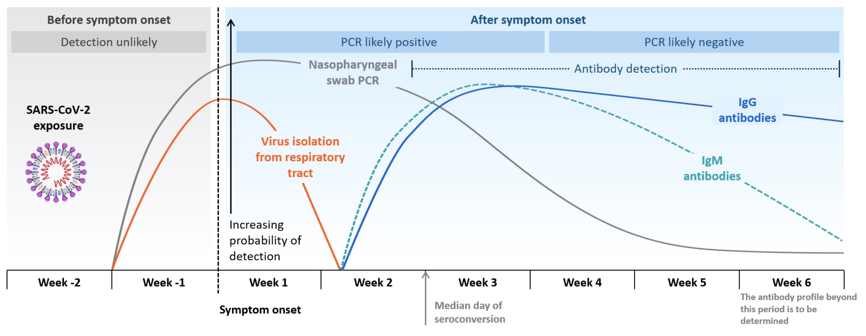 新型コロナウイルスの抗体検査実施中 | しだ小児科クリニック院長のブログ